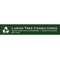 LARIOS 3 CONSULTORES