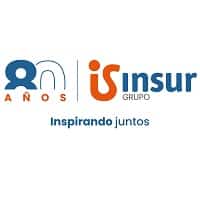 GRUPO INSUR
